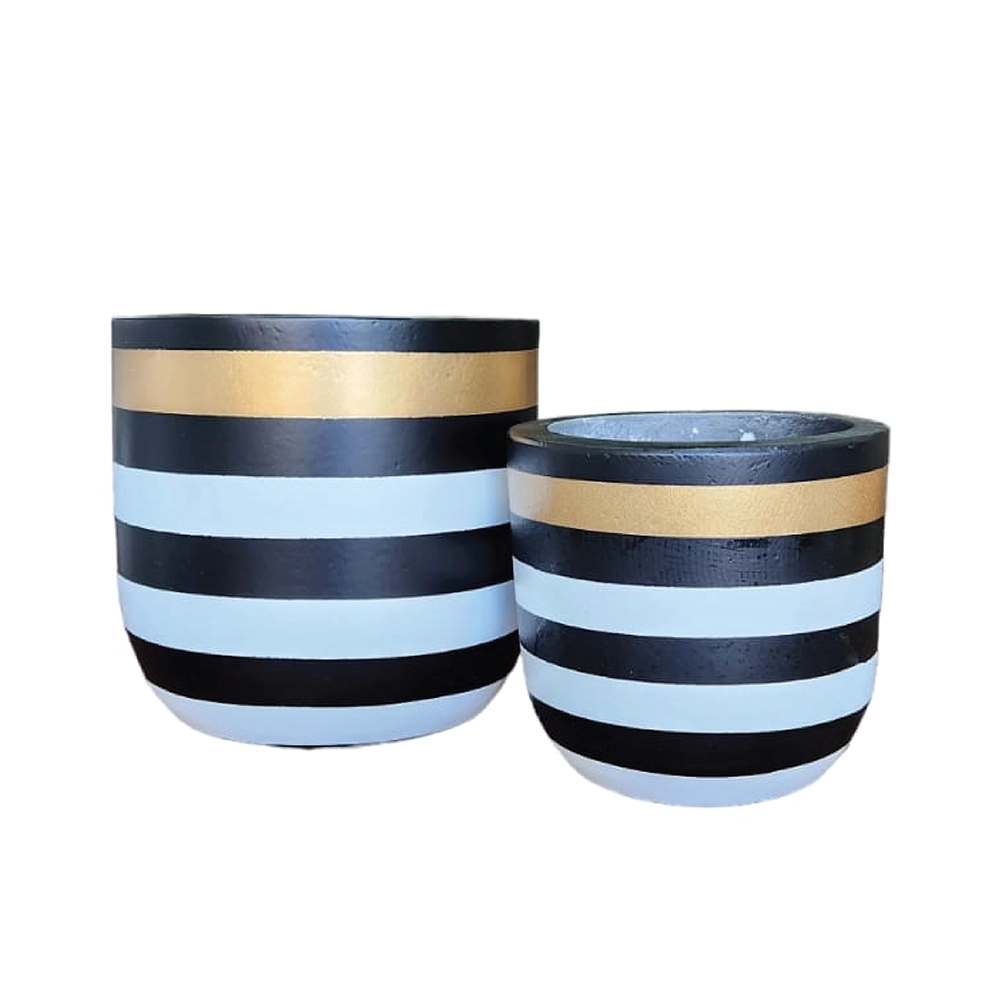 Golden Zebra Indoor Modern Pot Combo