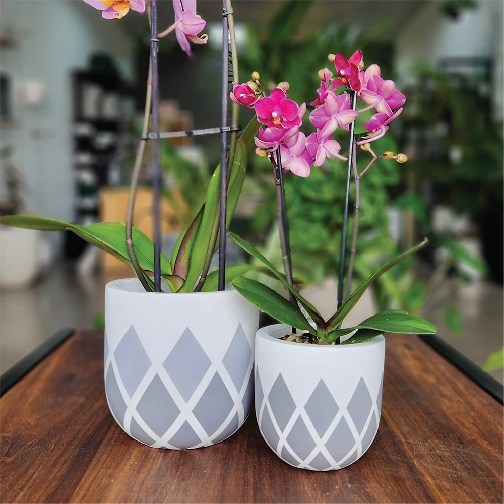 Grey Griffin Indoor Modern Pot Combo