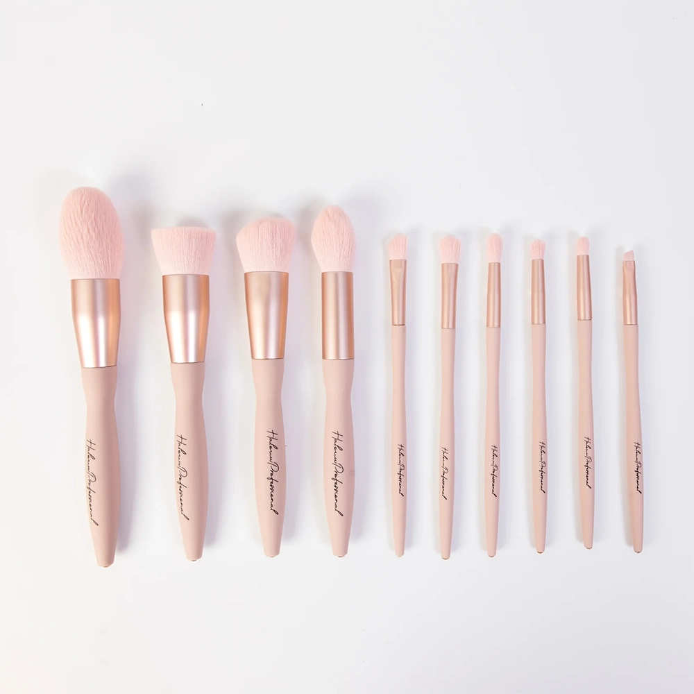 10 Piece Halouw Professional Brush set