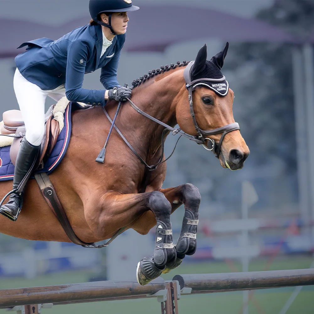 EquiGOLD Premium Equine Collagen