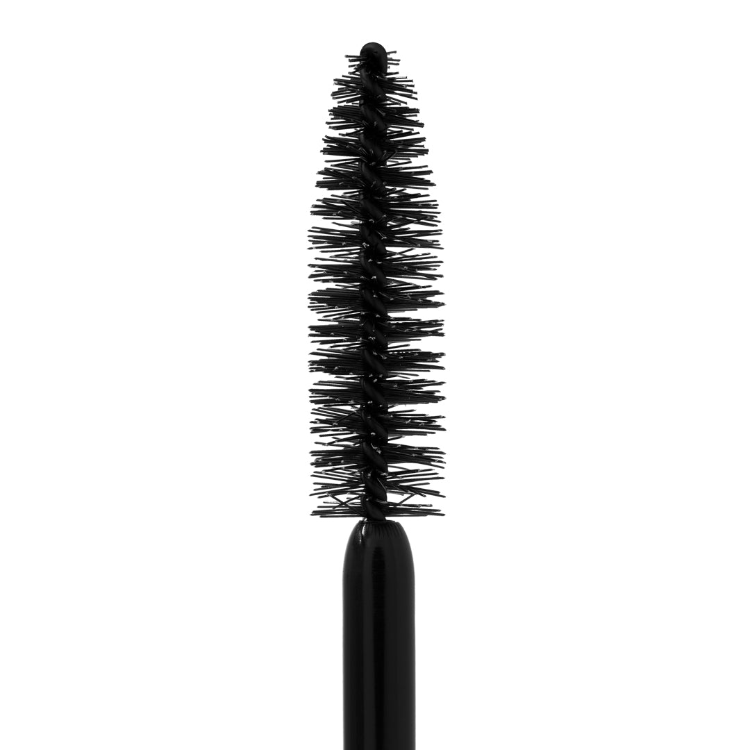 Spotlash