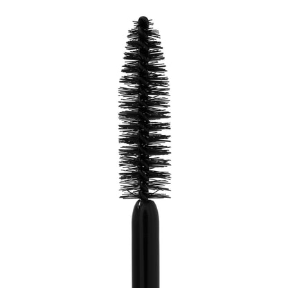 Spotlash