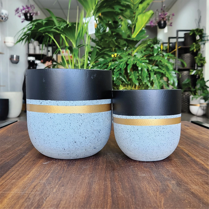 Dancing Prince Indoor Modern Pot Combo