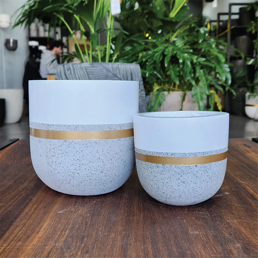 Dancing Queen Indoor Modern Pot Combo