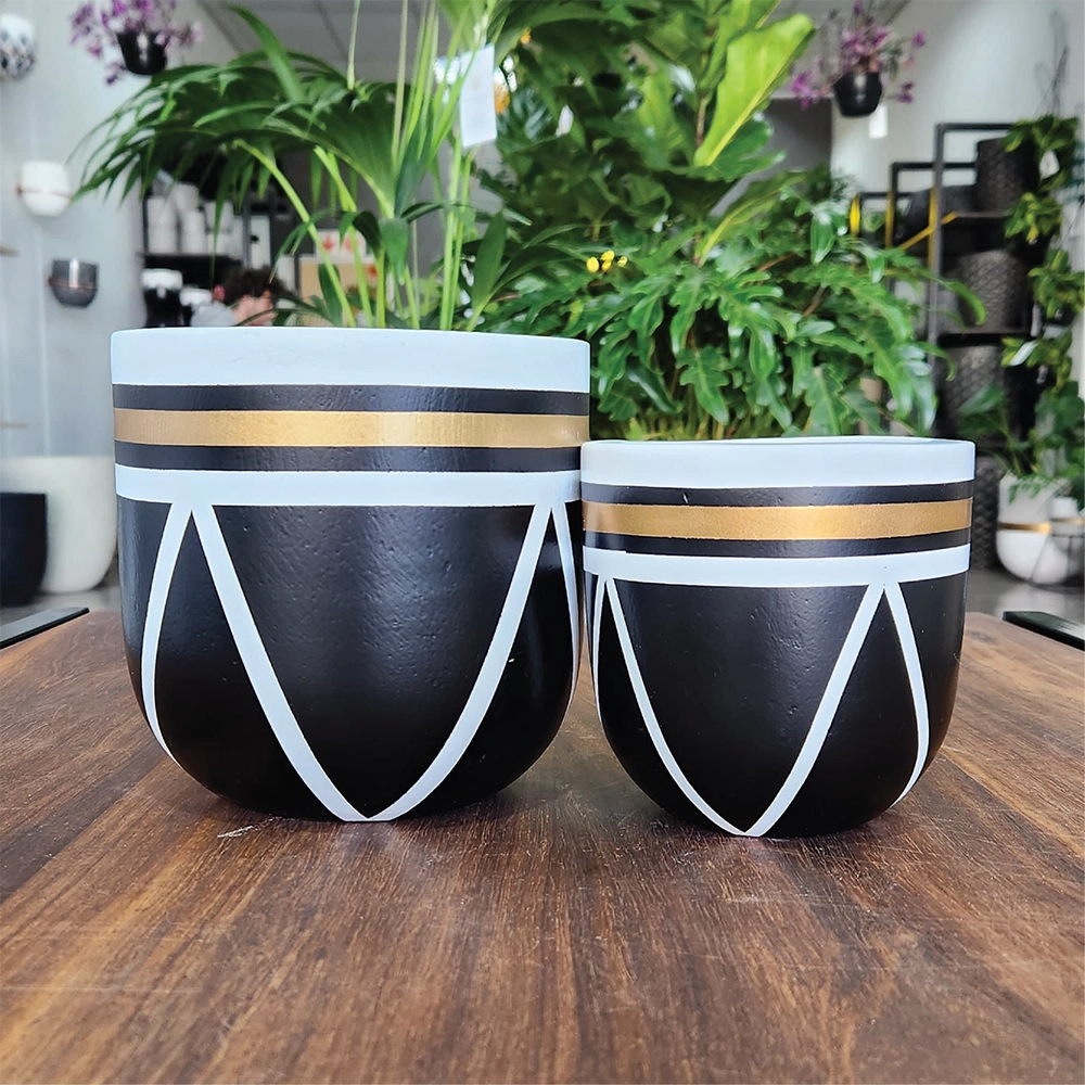 Hercules Modern Indoor Pot Combo