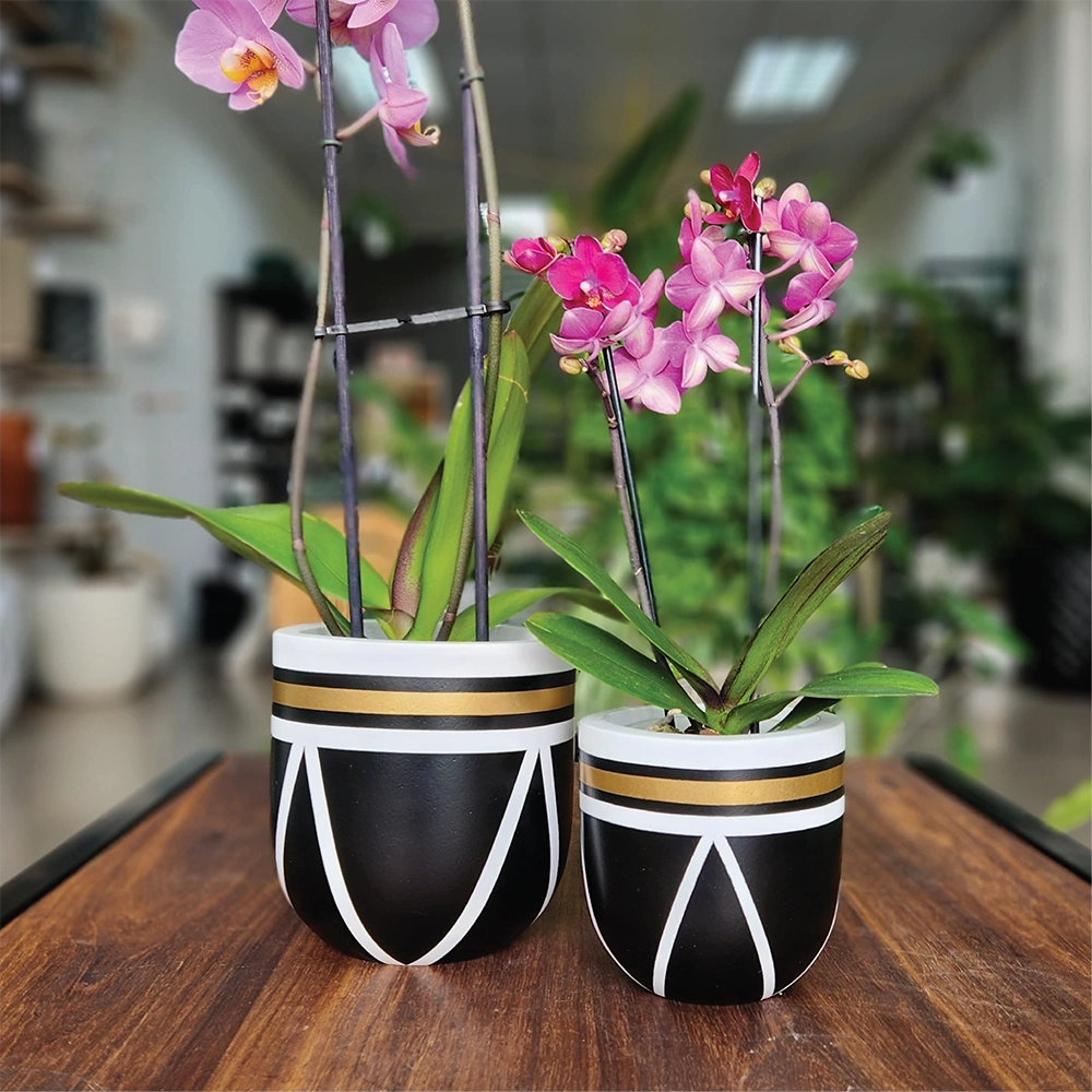 Hercules Modern Indoor Pot Combo
